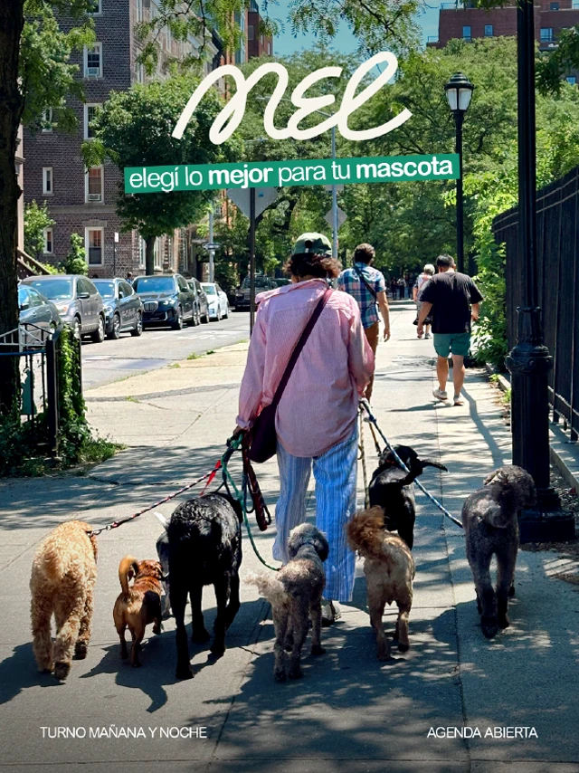 Posteo para redes sociales de Mel, paseadora de perros, caminando con varios perros por la ciudad