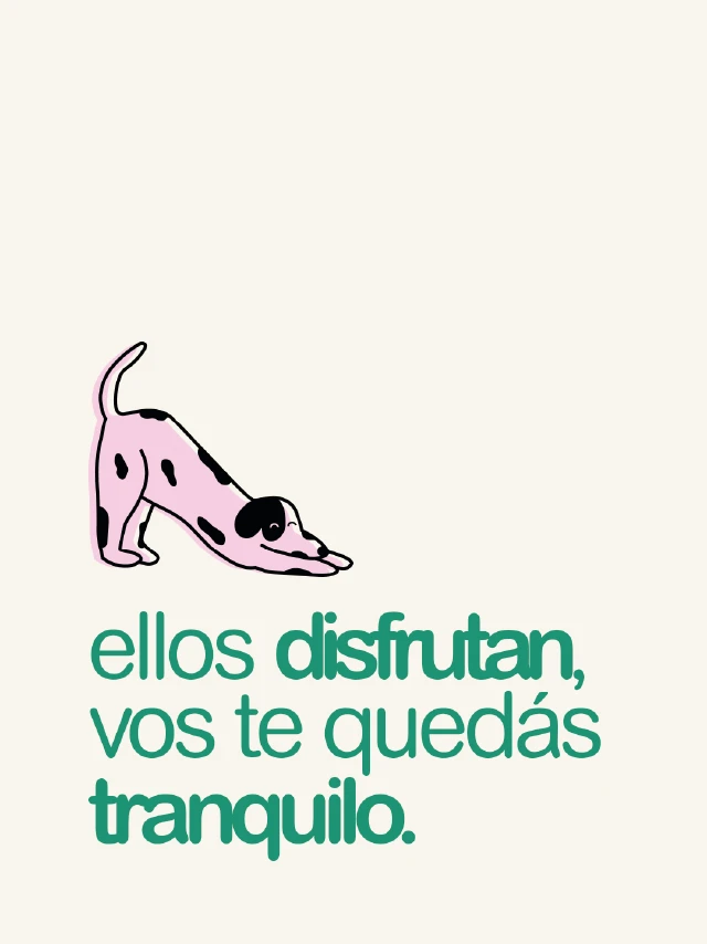 Posteo de Mel sobre paseos de perros y la tranquilidad de saber que las mascotas disfrutan su paseo