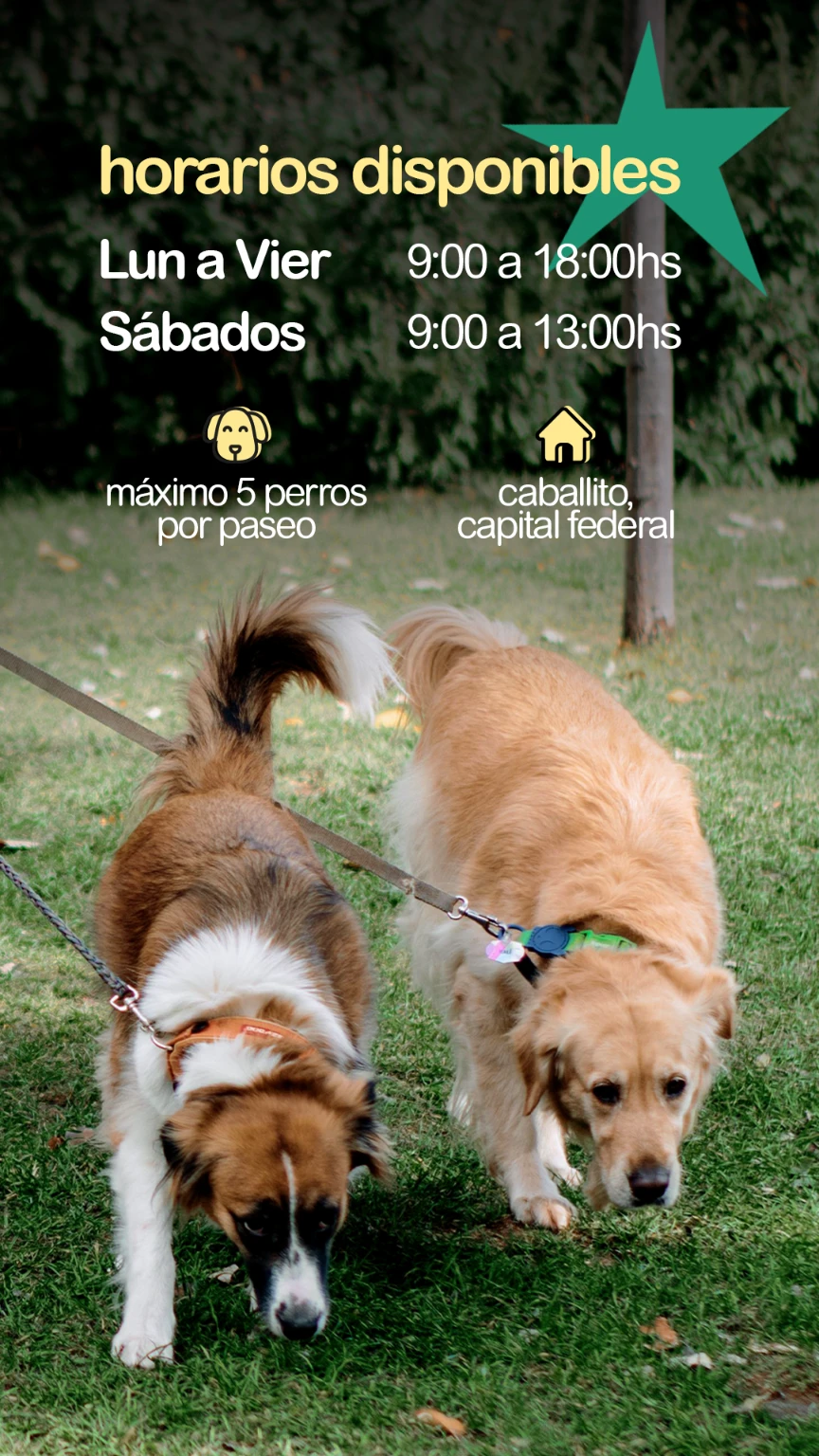 Story de Mel, paseadora de perros, con los horarios disponibles para paseos de lunes a viernes y sábados, junto a dos perros paseando